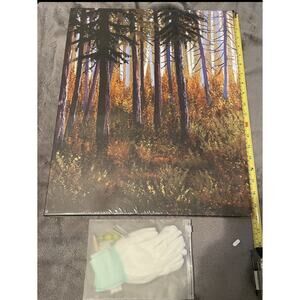 Pines Canvas Art 16X20
